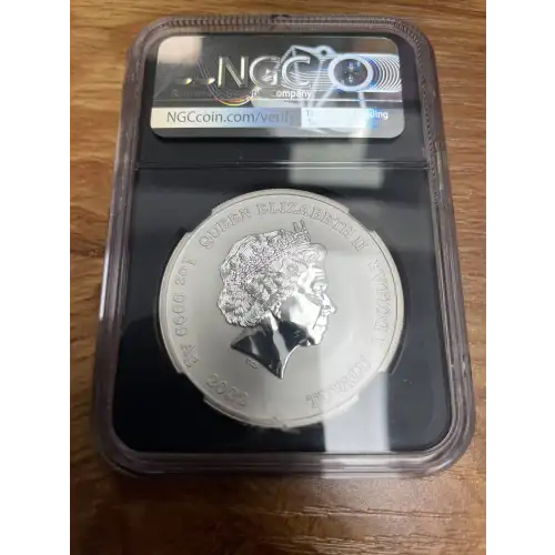Silver Eagles (2)