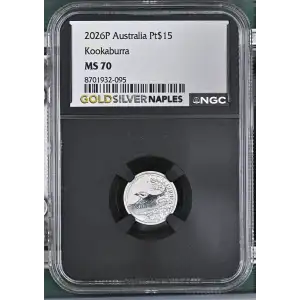 2026P Kookaburra (2)