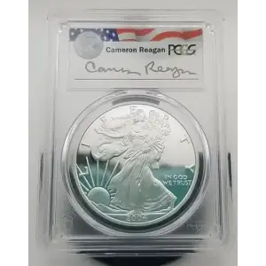 2004-W $1 Silver Eagle Cameron Reagan, DCAM