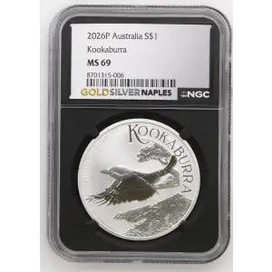 2026P Kookaburra (2)