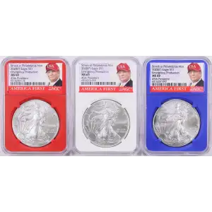 2020 (P) Eagle $1 MS69 Donald Trump - America First 

Red, White, and Blue Donald Trump Labels. Individually Sold