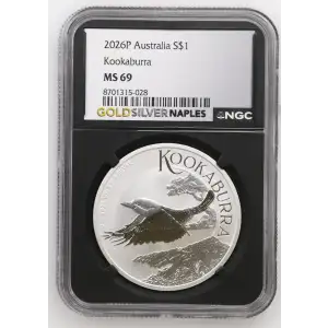 2026P Kookaburra (2)