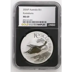 2026P Kookaburra (2)
