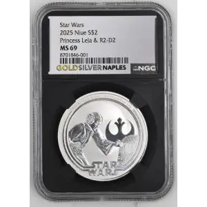 2025 Princess Leia & R2-D2 Star Wars (2)