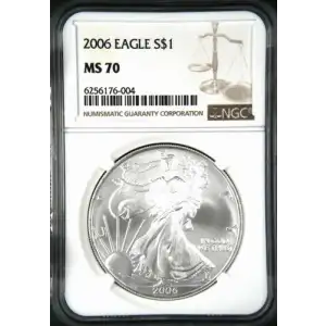 2006 FIRST STRIKES