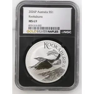 2026P Kookaburra (2)