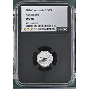 2026P Kookaburra (2)