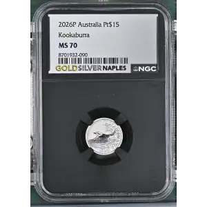 2026P Kookaburra (2)