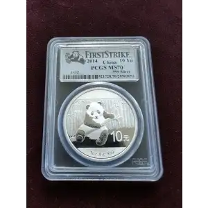2013 10 Yn Panda Silver First Strike