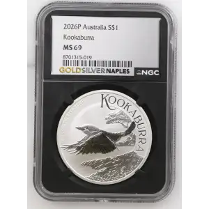 2026P Kookaburra (2)