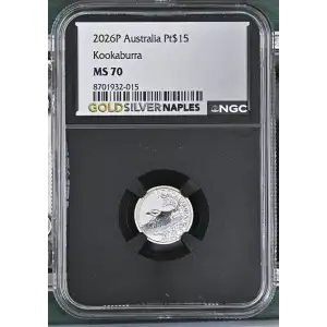 2026P Kookaburra (2)