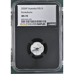 2026P Kookaburra (2)