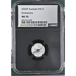 2026P Kookaburra (2)