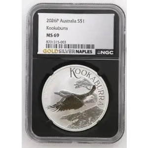 2026P Kookaburra (2)