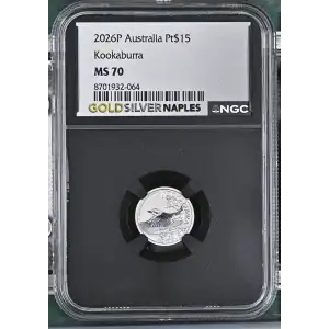 2026P Kookaburra (2)