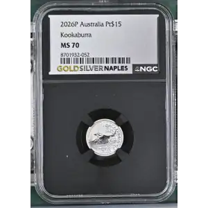 2026P Kookaburra (2)