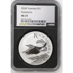 2026P Kookaburra (2)