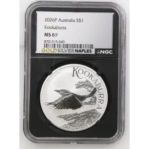 2026P Kookaburra (2)