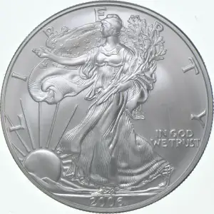 2006 W BURNISHED SILVER EAGLE