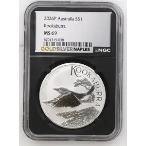 2026P Kookaburra (2)