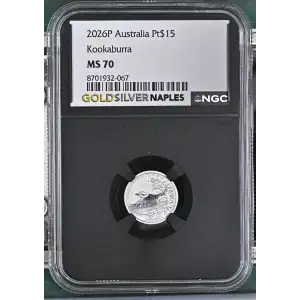 2026P Kookaburra (2)