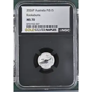 2026P Kookaburra (2)