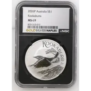 2026P Kookaburra (2)