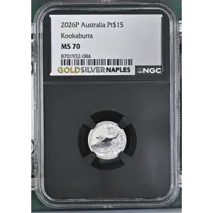 2026P Kookaburra (2)