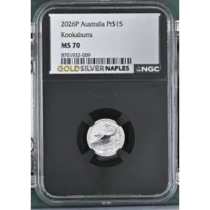 2026P Kookaburra (2)