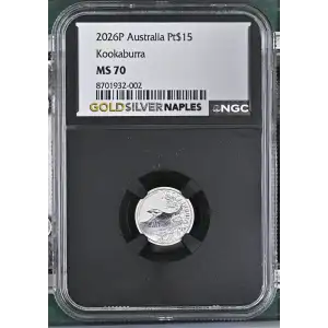 2026P Kookaburra (2)