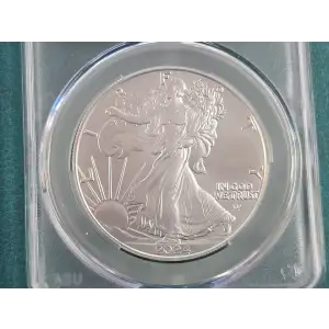 Silver Eagles