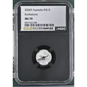 2026P Kookaburra (2)