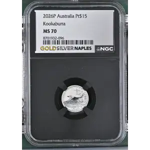 2026P Kookaburra (2)