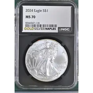 2024 (2)