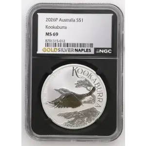 2026P Kookaburra (2)
