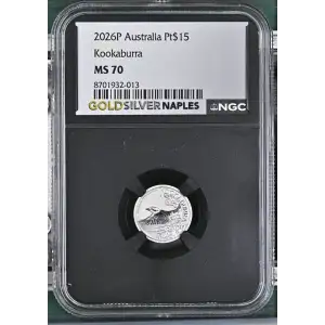 2026P Kookaburra (2)