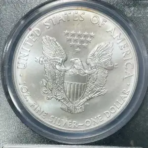 Silver Eagles