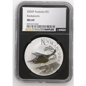 2026P Kookaburra (2)
