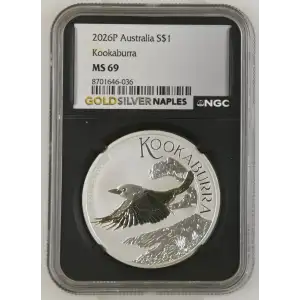 2026P Kookaburra (2)