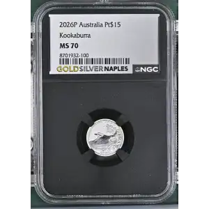 2026P Kookaburra (2)