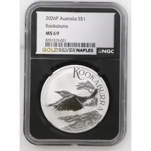 2026P Kookaburra (2)
