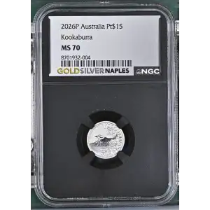 2026P Kookaburra (2)