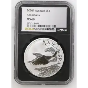 2026P Kookaburra (2)