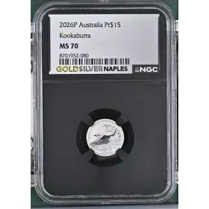 2026P Kookaburra (2)