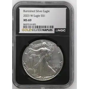 2023 W Burnished Silver Eagle (2)