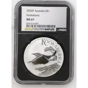 2026P Kookaburra (2)