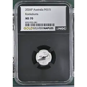 2026P Kookaburra (2)