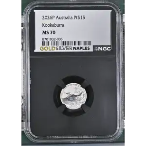 2026P Kookaburra (2)