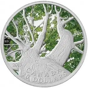 2013 $20 Maple Canopy Spring, DCAM