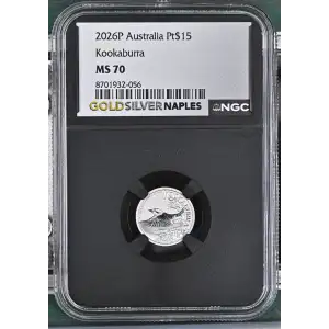 2026P Kookaburra (2)